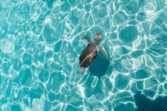 6 Hours Guided Beach Escape - Pricing and Payment Options