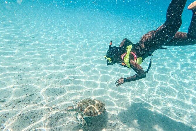 6 Hours Guided Beach Escape - Questions About Your Stay