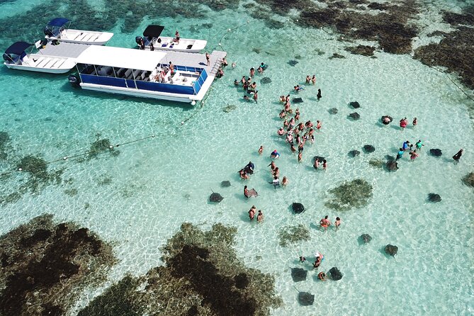 6-Hours Guided Stingray Tour in the East Coast of Antigua - Encountering Majestic Stingrays