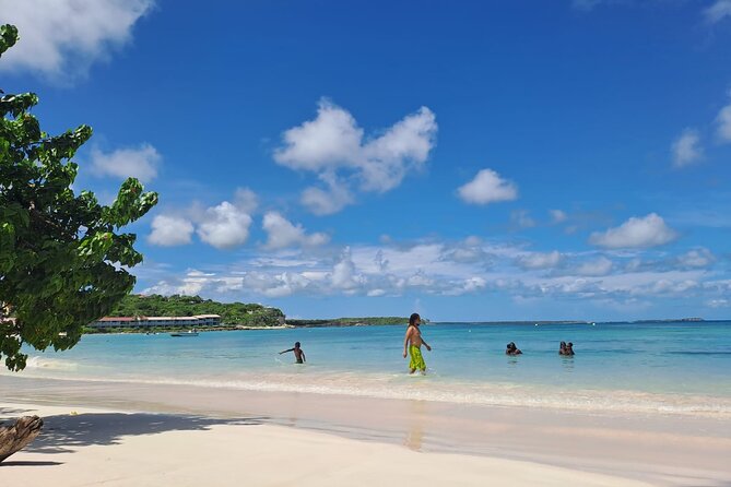 6-Hours Guided Stingray Tour in the East Coast of Antigua - Snorkeling and Interaction