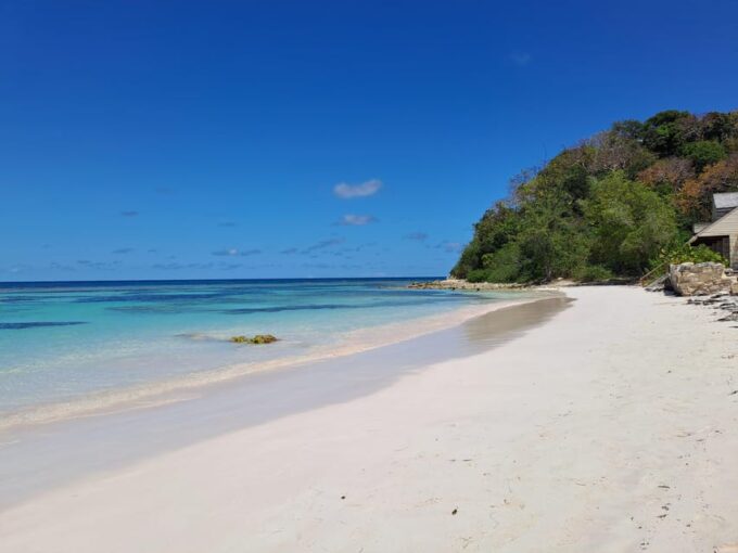 6-Hours Guided Stingray Tour in the East Coast of Antigua - Guests Satisfaction