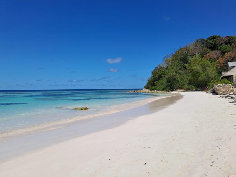 6-Hours Guided Stingray Tour in the East Coast of Antigua - Inclusions