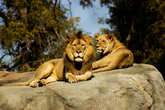 6 Hours Nairobi National Park and Giraffe Center Tour - Giraffe Center
