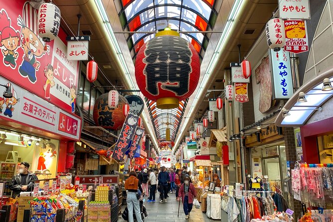 6 Hours Osaka Tour With National Licensed Guide - Group Size and Exclusivity