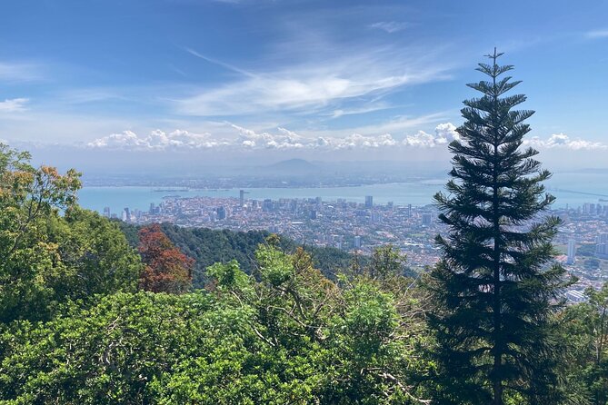 6-Hours Penang Private Tour - Inclusions and Exclusions