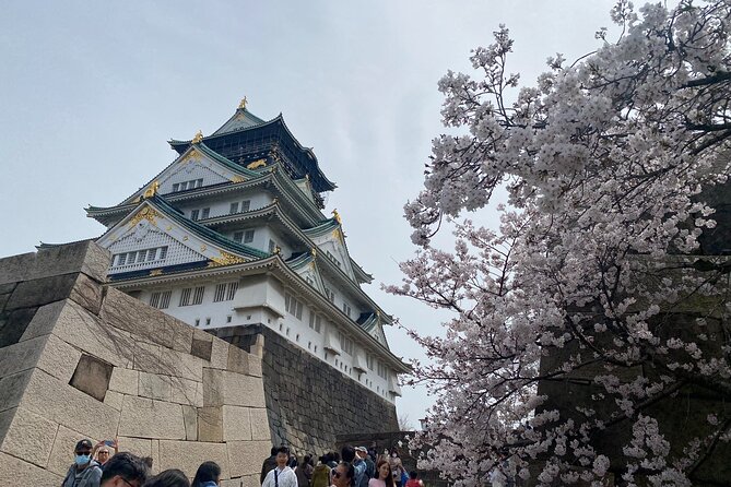 6 Hours Private Foodie Tour From Osaka Castle & Kuromon Market - Tour Duration and Inclusions