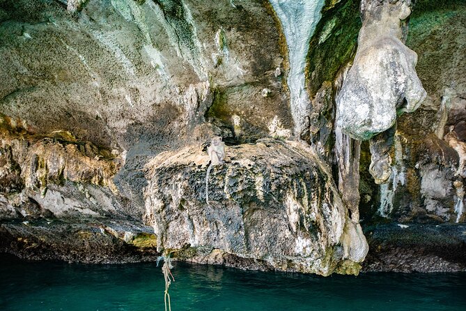 6 Hours Private Tour Around Phi Phi Islands From Phi Phi - Meeting Point and Logistics
