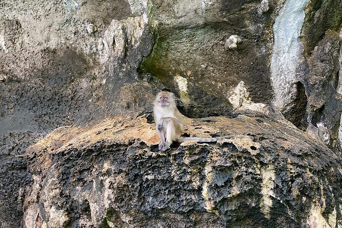 6 Hours Private Tour Around Phi Phi Islands From Phi Phi - Experiencing Thailands Longtail Boat
