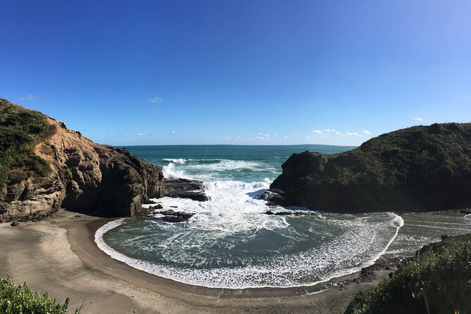 6 Hours Sightseeing Tour in Auckland - Tour Experience and Highlights