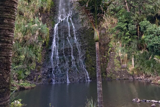 6 Hours Sightseeing Tour in Auckland - Reviews and Ratings