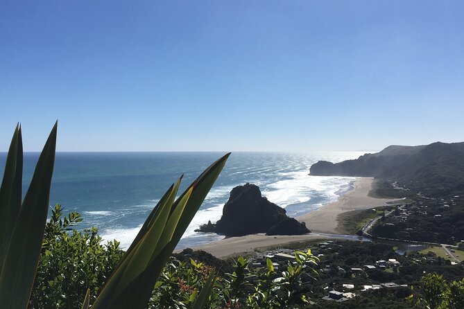 6 Hours Sightseeing Tour in Auckland - Cancellation and Pricing