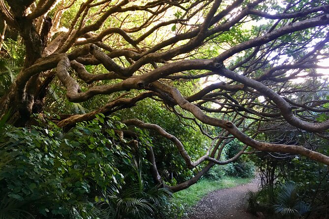 6 Hours Sightseeing Tour in Auckland - Frequently Asked Questions