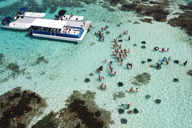 6-Hours Tour East Coast of Antigua: Stingray City, Lunch & Beach - Key Points
