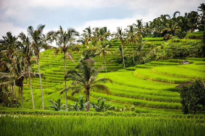 6 Hours Trip With Flexible Private Driver/Guide - Age and Health Restrictions
