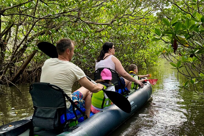 6-Hr Tropical Mangroves, Coastal River and Ocean Wildlife Watch - Equipment and Amenities