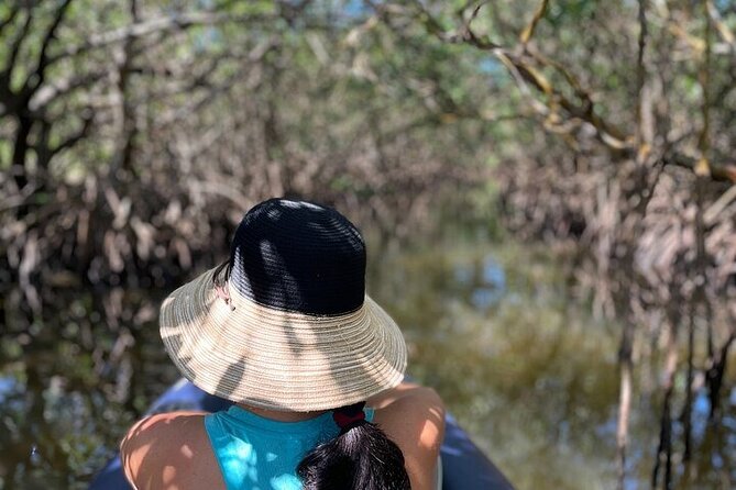 6-Hr Tropical Mangroves, Coastal River and Ocean Wildlife Watch - Getting to the Meeting Point