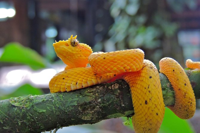6 in 1 RainForest Adventure From San Jose - Customer Feedback Summary
