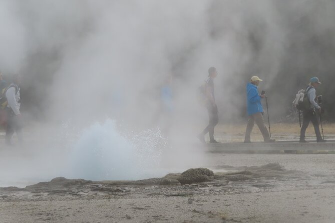 6-Mile Geyser Hiking Tour in Yellowstone With Lunch - Wildlife Spotting