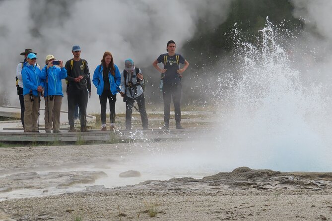 6-Mile Geyser Hiking Tour in Yellowstone With Lunch - Reviews and Ratings