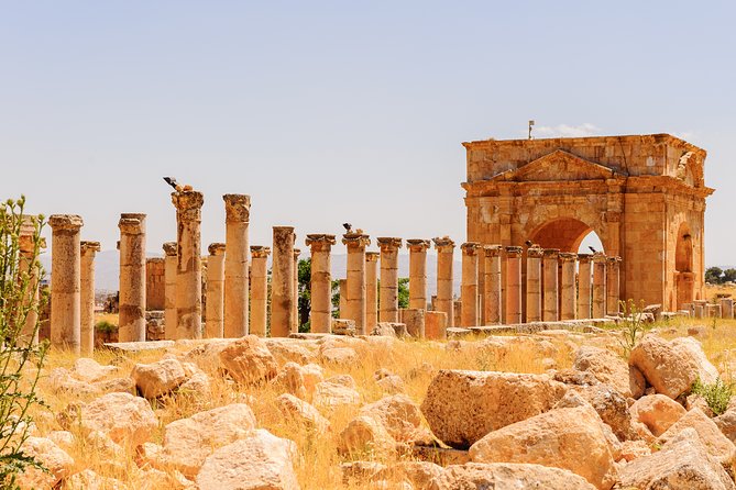 6-Night Best of Jordan Tour From Amman: Jerash, Dead Sea, Petra, and Wadi Rum - Transportation and Guiding