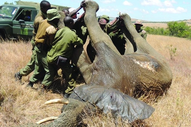 6 Nights 7 Days Masai Mara Budget Safari. - Inclusions