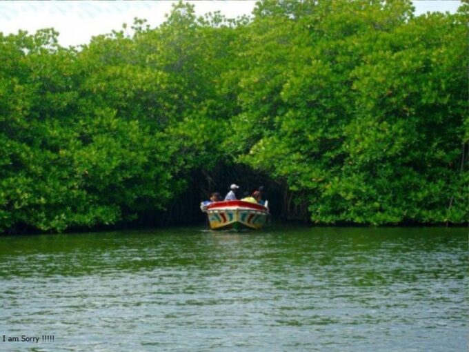 6 Nights 7 Days-Muslim Halal Tour With Safari at Udawalawe - Frequently Asked Questions
