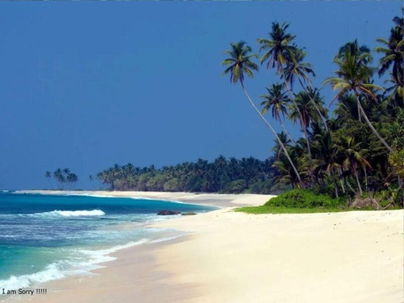 6 Nights 7 Days-Muslim Halal Tour With Yala National Park - Key Points