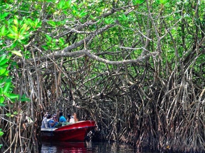6 Nights 7 Days-Muslim Halal Tour With Yala National Park - Frequently Asked Questions