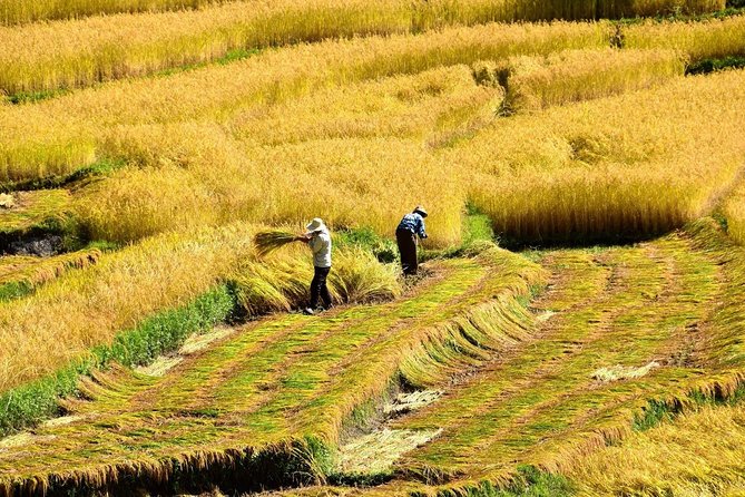 6 Nights Glimpse of Bhutan Tour - Discovering Haa Valleys Serenity