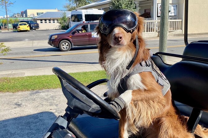 6 Passenger Golf Cart Rental in Key West - Operating Hours and Availability