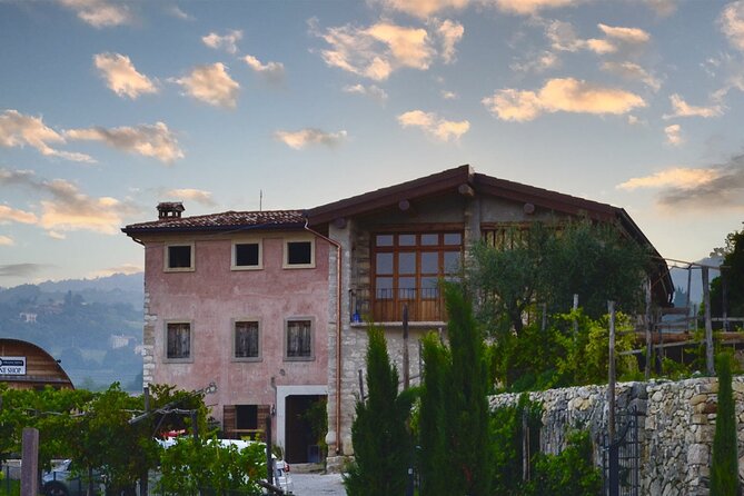 6 Wine Tasting in Valpolicella Classica: the Cradle of Amarone - Guided Tour of Vineyards