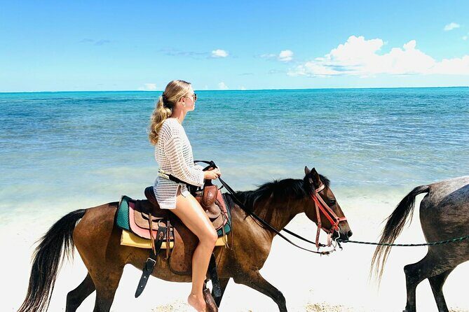 60-Minute Private Horseback Riding Experience in Turks and Caicos - A Practical Look at the 60-Minute Private Horseback Riding Experience in Turks and Caicos