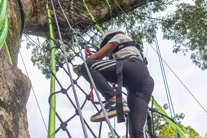 60M Tree Climbing Experience With Descent in Tarzan or Rapel - Second Platform at 55m