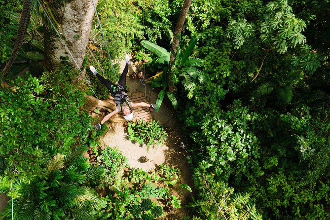 60M Tree Climbing Experience With Descent in Tarzan or Rapel - Final Ascent to 60m