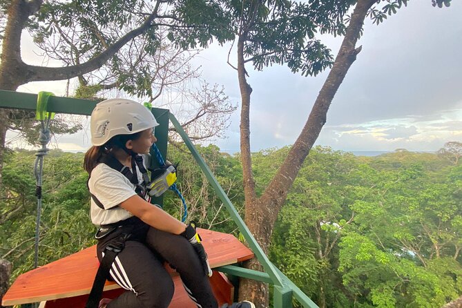 60M Tree Climbing Experience With Descent in Tarzan or Rapel - Descent Options