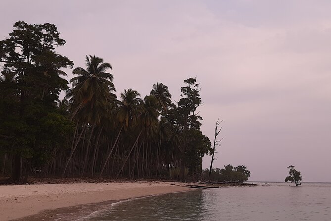 6D/5N Offbeat Walking Holiday in South and Middle Andamans - Wildlife at Chidiyatapu Biological Park