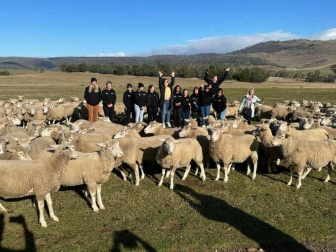 6D5N Tasmania Unveiled: Discovering Icons and Hidden Gems - Important Considerations