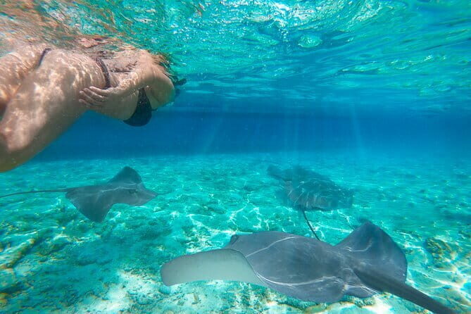 6Day Private Culture Tour in Flores - Practical Considerations