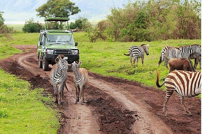 6Days Amboseli, Lake Nakuru and Masai Mara Camping Safari on Jeep - Recap