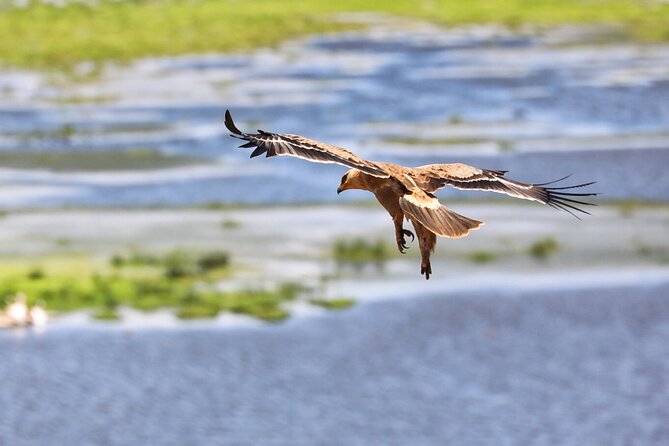 6days Masai Mara-Lake Nakuru via Lake Naivasha-Amboseli 4x4 Jeep Safari - Medical Requirements