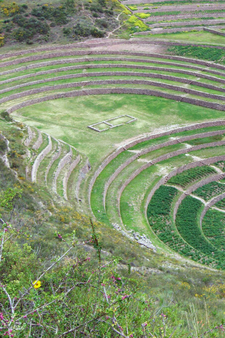 6DTour+Hotel Cusco,Sacred Valley,Machupicchu,RainbowMountain - Transportation and Guides