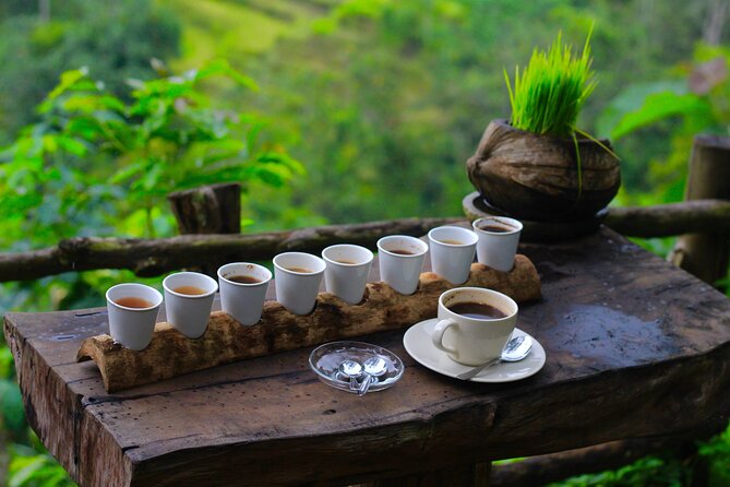 6h Private Tour in Ubud: Rice Terrace Swing, Temple, Waterfall - Exploring Ubuds Cultural Heritage
