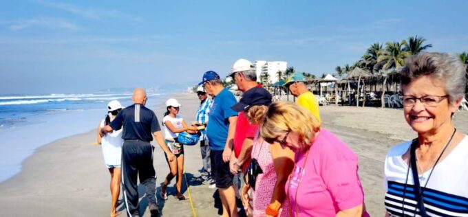 *6Hr All Attractions for Cruisers Terminal Pickup & Drop Off - Turtle Release at the Beach