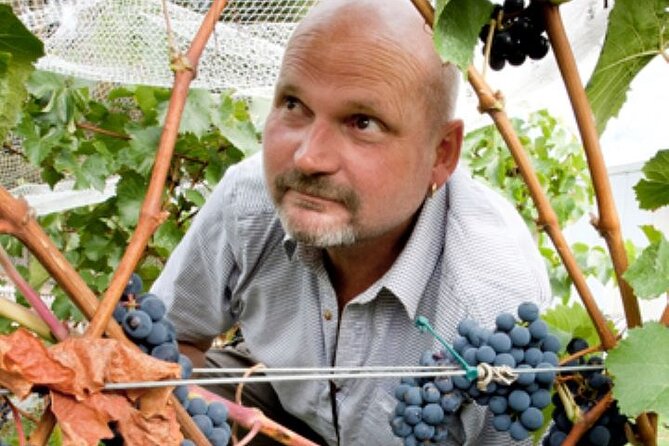 6hr Martinborough Chefs Private Wine Tour ŵ Lunch From Wellington - Frequently Asked Questions