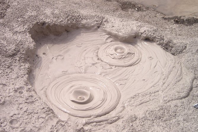 6hr Rotorua Geothermal Wonderland Tour - Departs Tauranga - Pickup Information