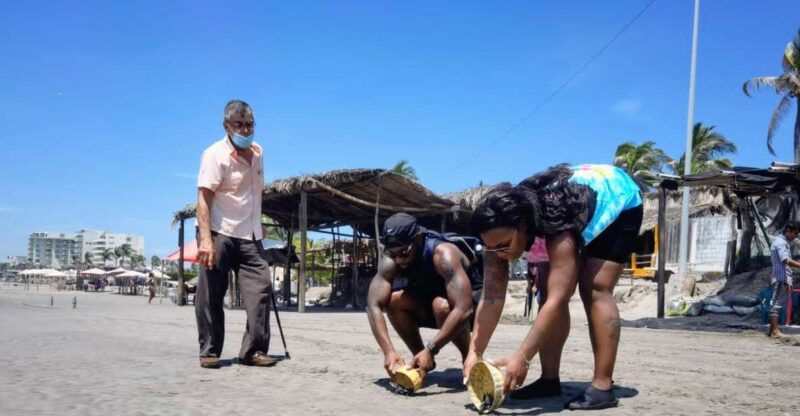 .6Hr Tour Diving Show Baby Turtle Release & All Attractions - Key Points