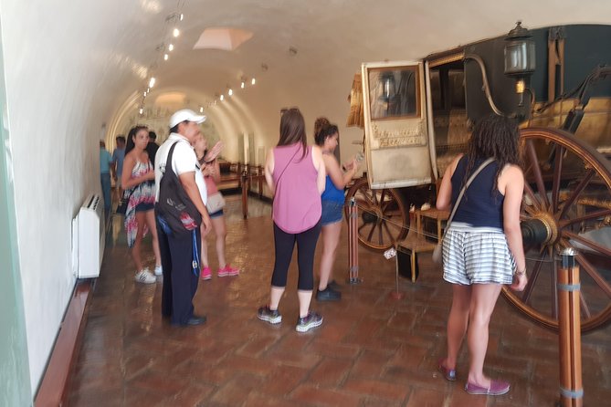 6Hr Walking & Van Tour San Diego Fort Museum Cliff Divers Zocalo - Tour Accessibility