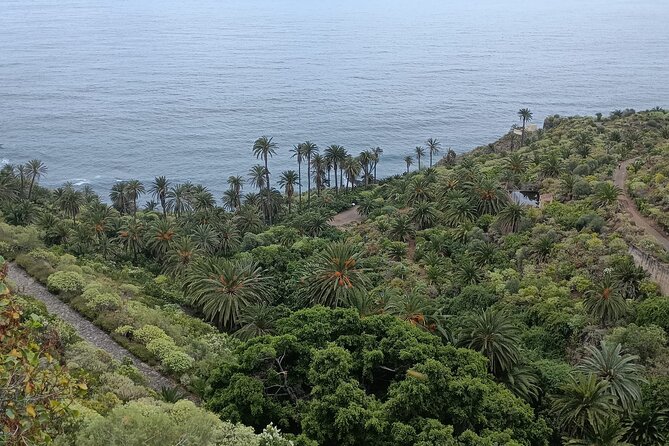 6hrs Private Tour in North Coast of Tenerife - Breathtaking Sights and Scenery