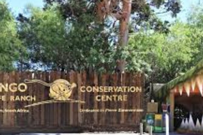 7- 10 Days Tour Package Cape Town and Garden Route - Uncover Cango Caves