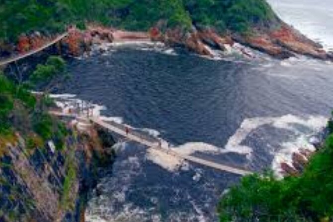 7- 10 Days Tour Package Cape Town and Garden Route - Encounter Cango Wildlife Park